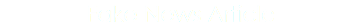 Fake News Article